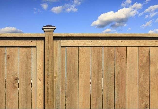 cedar fence options