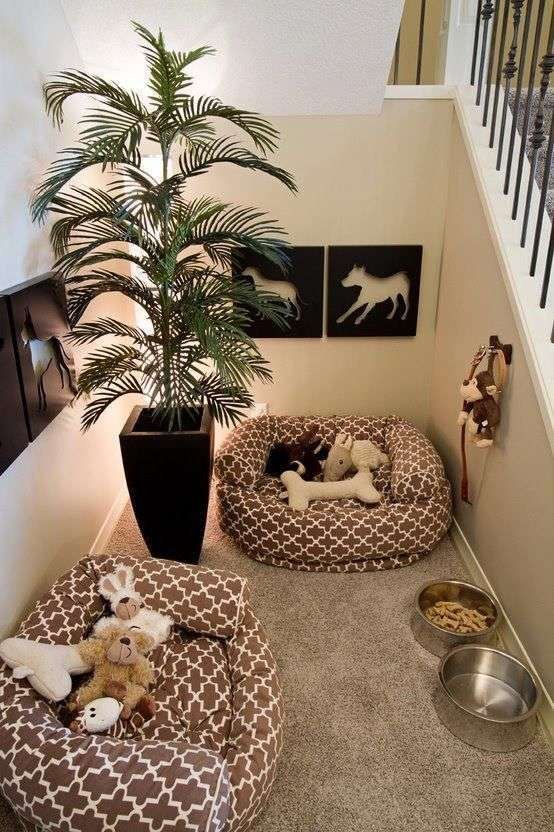 pet friendly home decor